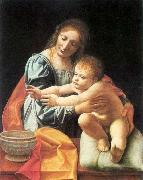 BOLTRAFFIO, Giovanni Antonio, The Virgin and Child 1
